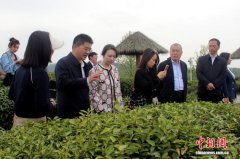 “凝心聚力·共话发展”2026海外侨领安康行交流活动举行